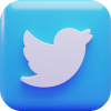 Twitter X